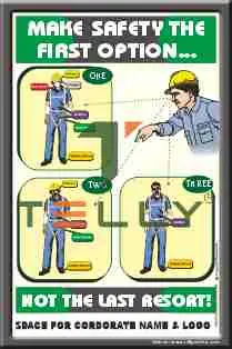 SCI-P-694 — SAFETY _FIRST OPTION
