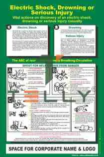 SCI-P-290 — ELECTRIC SHOCK, DROWNING OR SERIOUS INJURY