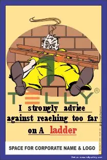 SCI-P-456 — REACHING TO FAR ON A LADDER
